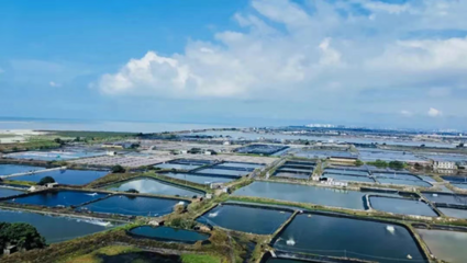 中國農業大學教授張正河:&ldquo;鍋圈模式&rdquo;有力推進農村&ldquo;三產融合&rdquo;