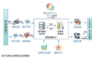 深化政務服務應用，科技與計算機技術服務助力政府數字化轉型